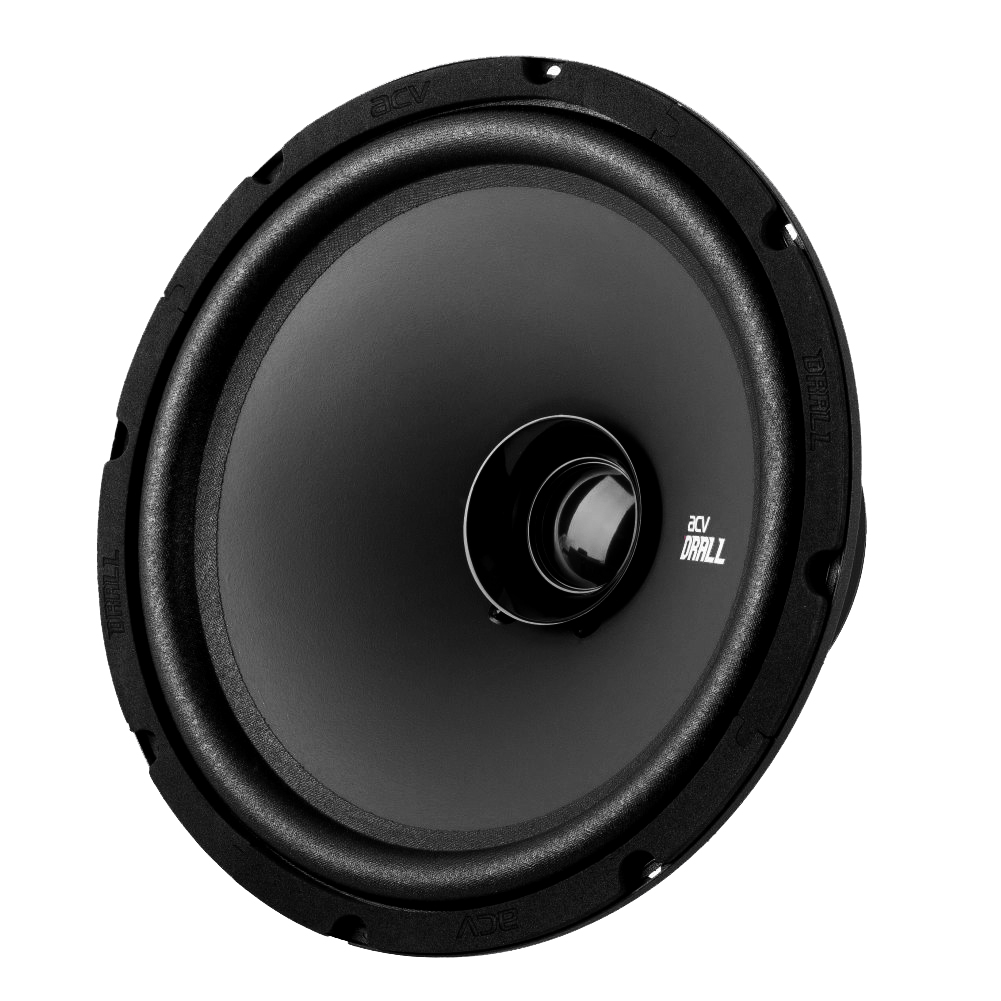 ACV | DR10 DRALL | эстрадная акустика 10" широкополосная/ RMS=150W/3Om/96дБ | превью 1