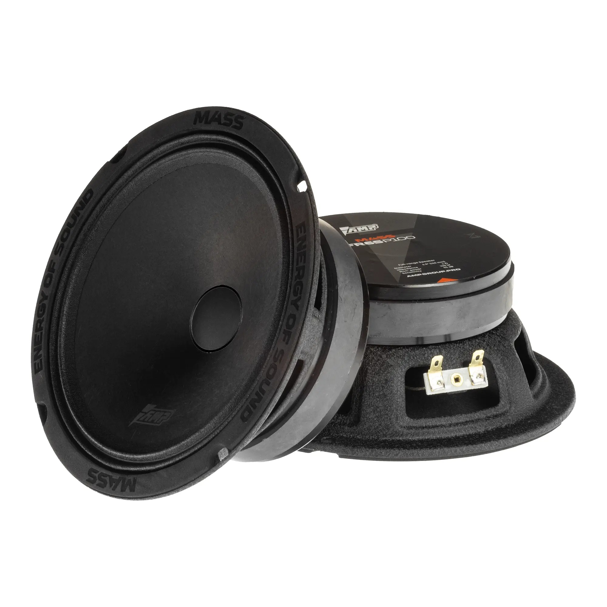 AMP | MASS FR65P100 | 16см Эстрадная Широкополосная. 4 Ом. 2ШТ | превью 1