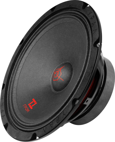 Ural | Урал ТТ 200 ГРОМ | 20см, Пара, 150 Вт, 80-10000 Hz, 4 Om, 98 db | превью 1