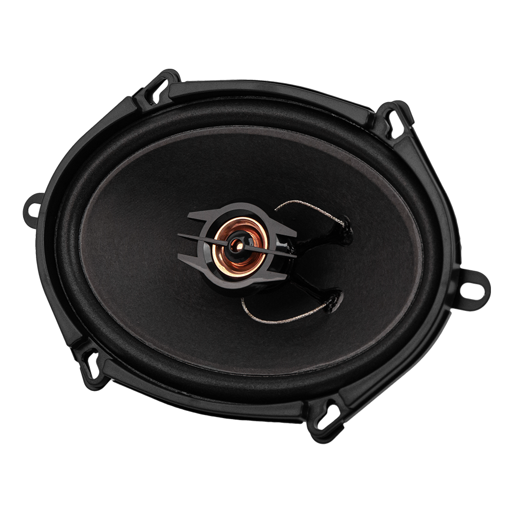 ACV | PB-572G | БЕЗ ГРИЛЕЙ!!! /2-х полосная/75Вт/бумага | превью 1