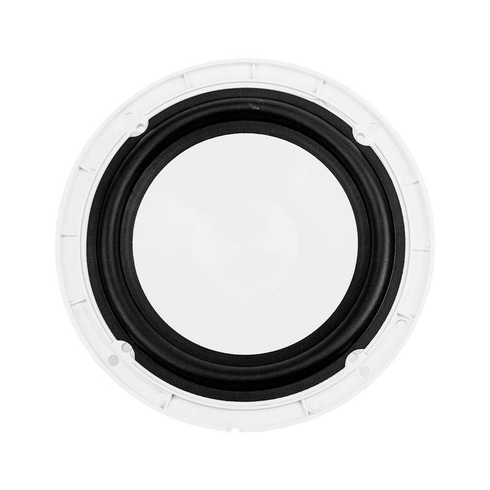 ACV | M6W | 16,5см/100 Вт/2-полосная морская/ белая | 2