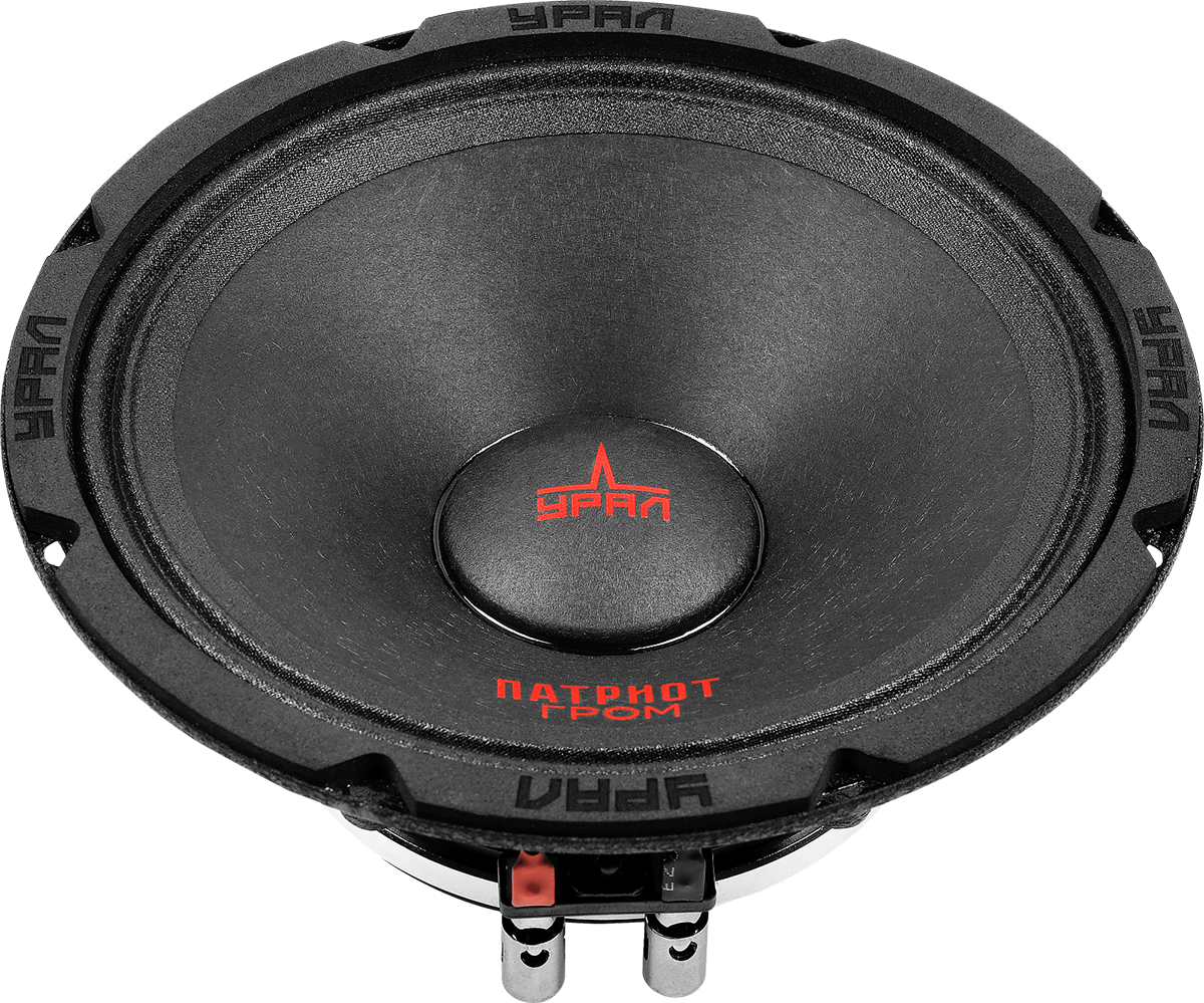 Ural | Урал ПАТРИОТ AC-ПТ165.2 ГРОМ | 6.5" (16.5cm), 600 Вт, 100-12000Гц, 1 ШТ.!!! | 2