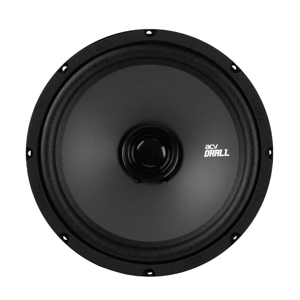 ACV | DR10 DRALL | эстрадная акустика 10" широкополосная/ RMS=150W/3Om/96дБ | превью 2