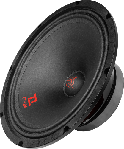 Ural | Урал ТТ 250 ГРОМ | 25см,  Пара, 170 Вт, 50-8000 Hz, 4 Om, 93 db | превью 1