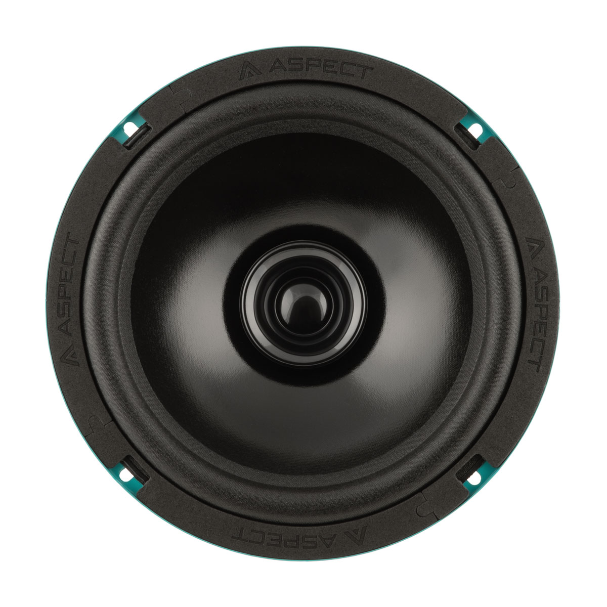 Aspect | CWS-80  | Широкополосная рупорная  8"(20 см), RMS/MAX 80/240 Вт, 4 Ом, 91 дБ | превью 2