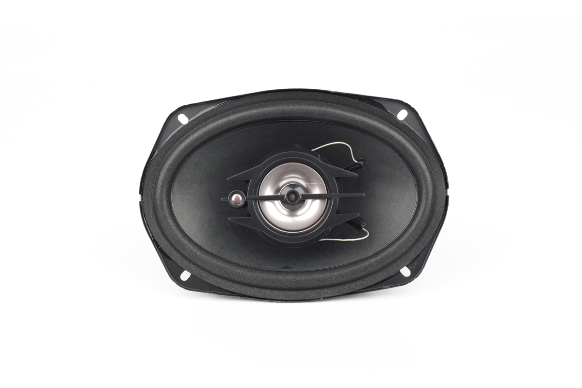 ACV | PB-693 | 6/9 /3-х полосная/ 80Вт/бумага | превью 3