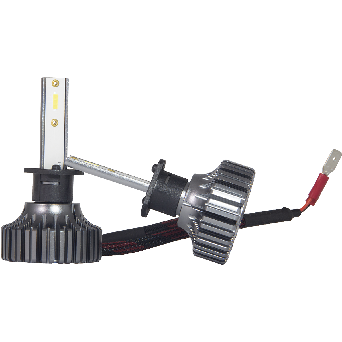 AMP | CSP H02 | H1,  6000K , 12-24V, 40 Вт, 4000 Lm  комплект 2 шт. | превью 1