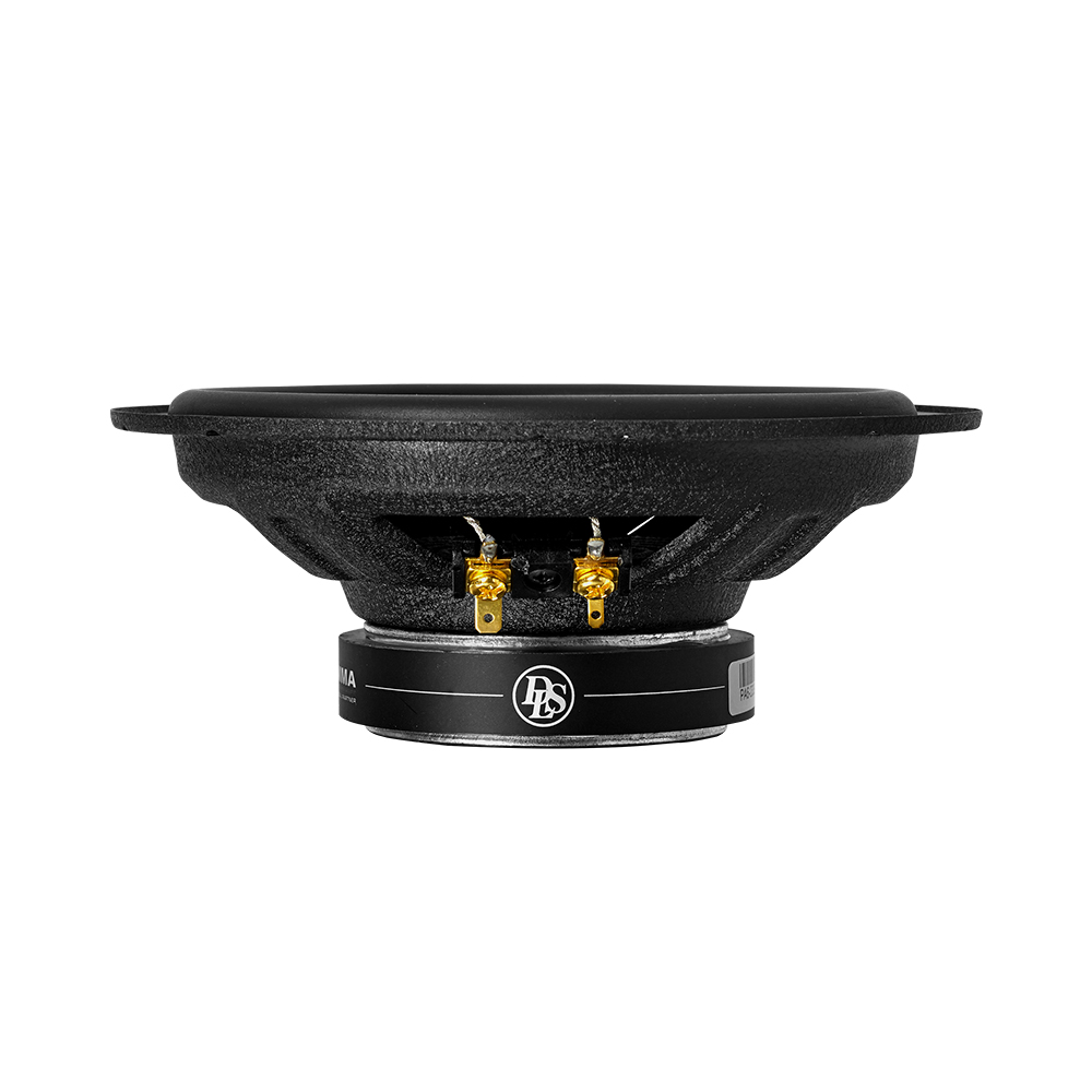 DLS | PA6 | 2-х полос. коакс. ак . 50/100W | 5