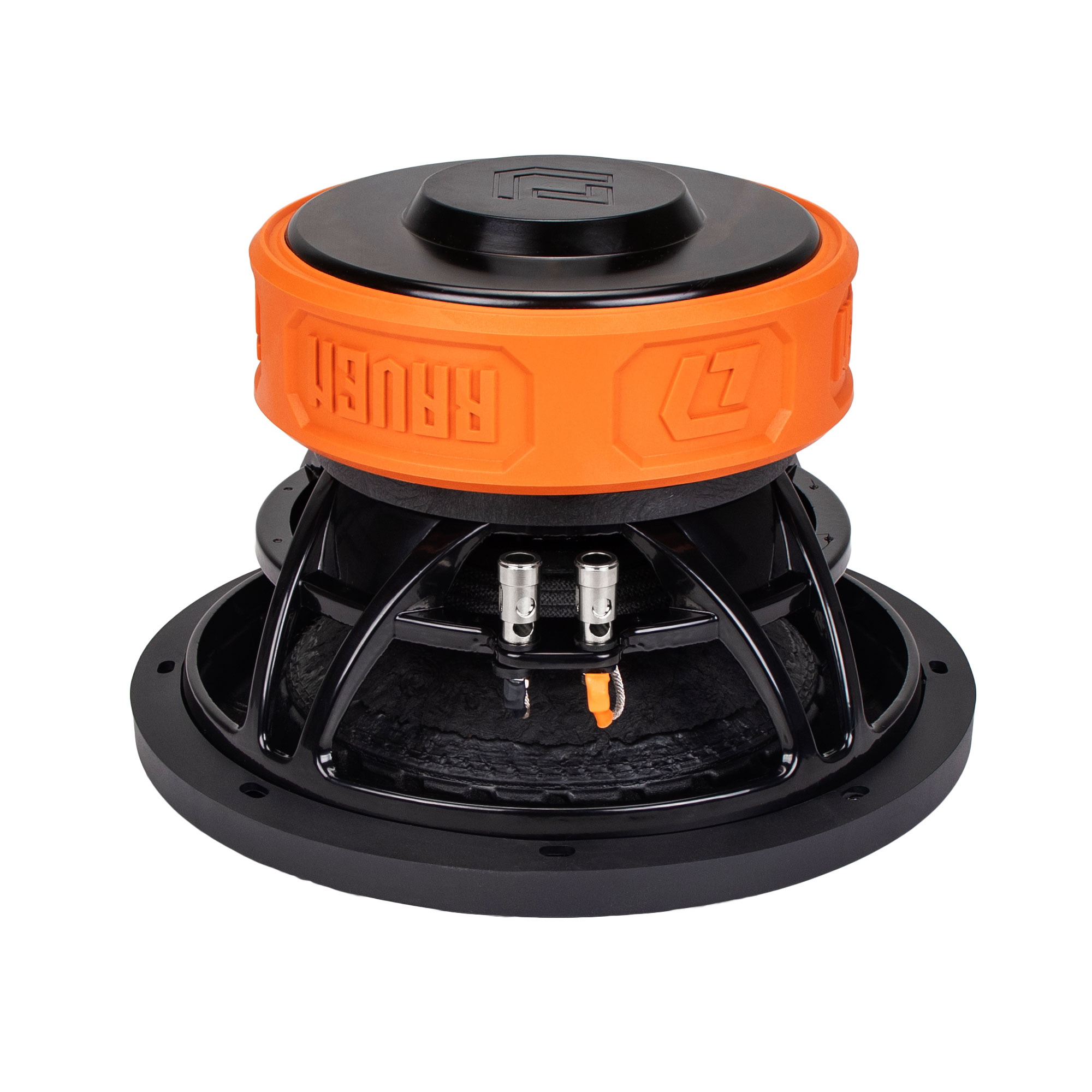 DL Audio | Raven 10 V2 |  | превью 3