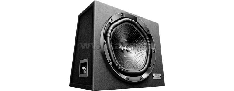 Sony | NW-1202e | 2014, 12", корпусной, пассивный, 300/1800w, трапеция | 1