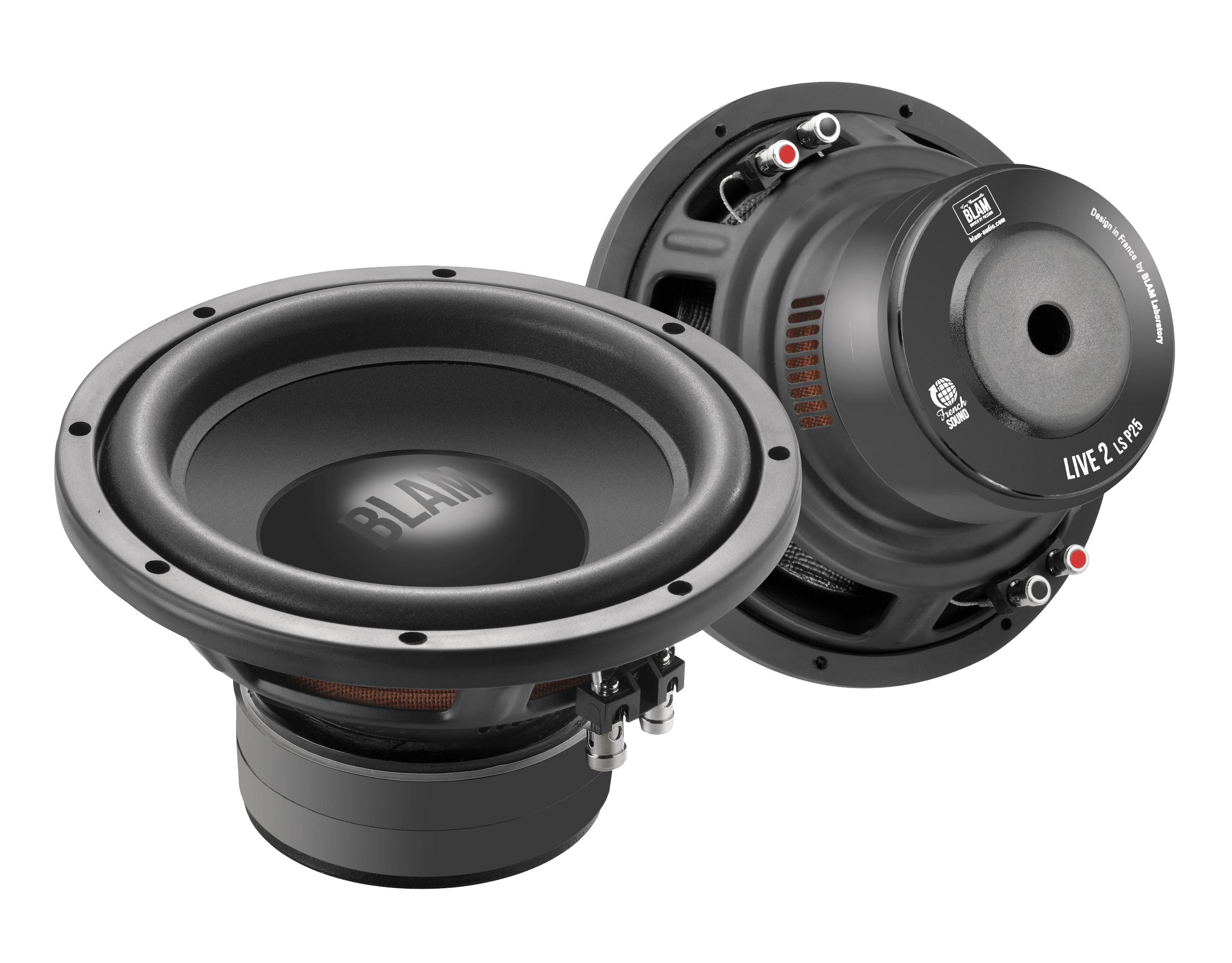 BLAM | LSP25 | сабвуферный динамик 10"(25см) 300/600Вт, 2+2Ом,89.7дБ 15л| 1