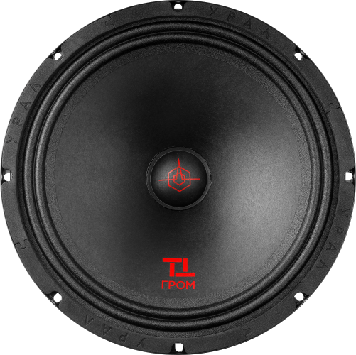 Ural | Урал ТТ 250 ГРОМ | 25см,  Пара, 170 Вт, 50-8000 Hz, 4 Om, 93 db | превью 2