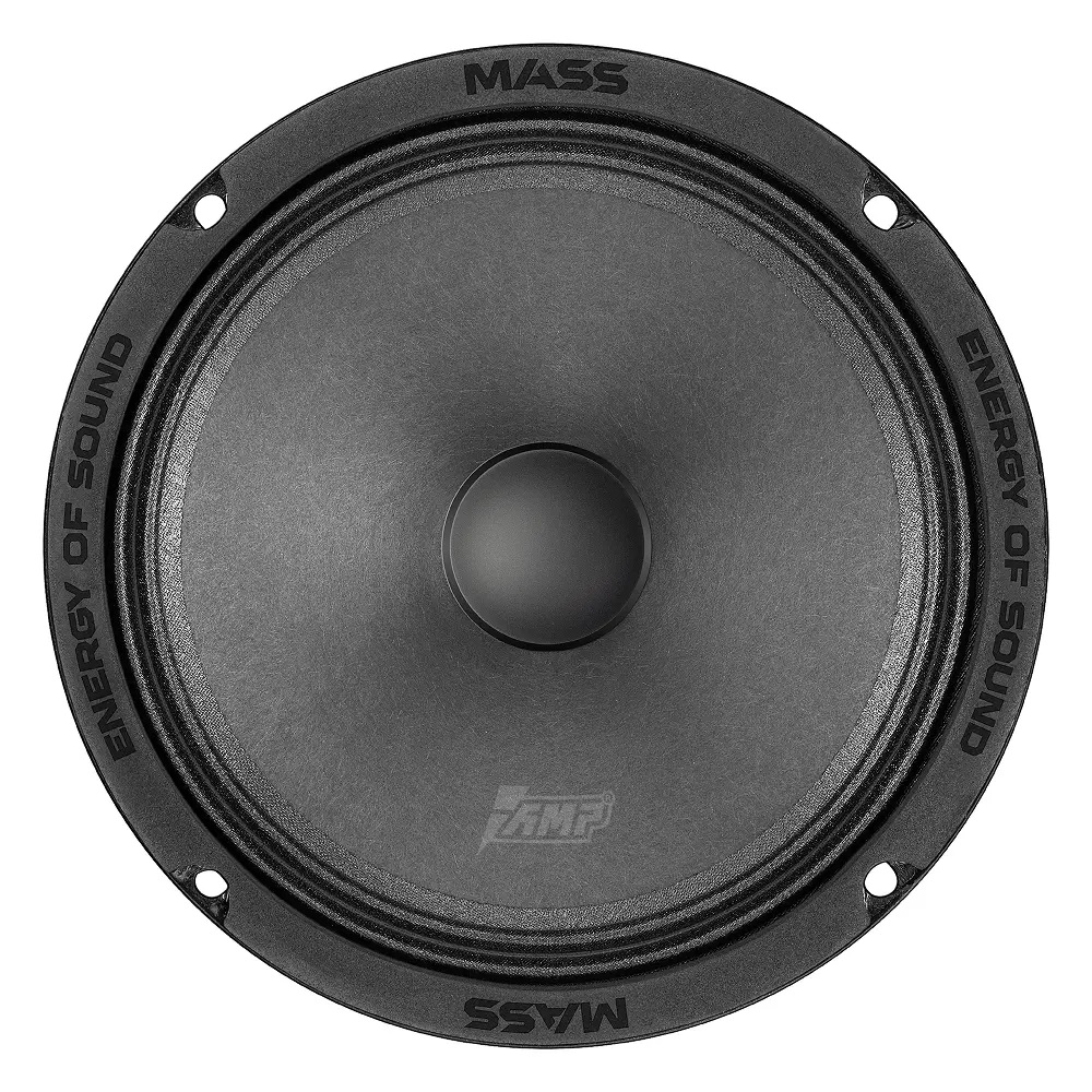 AMP | MASS FR65P120 | 16см Эстрадная Широкополосная. 4 Ом. 2ШТ | превью 2