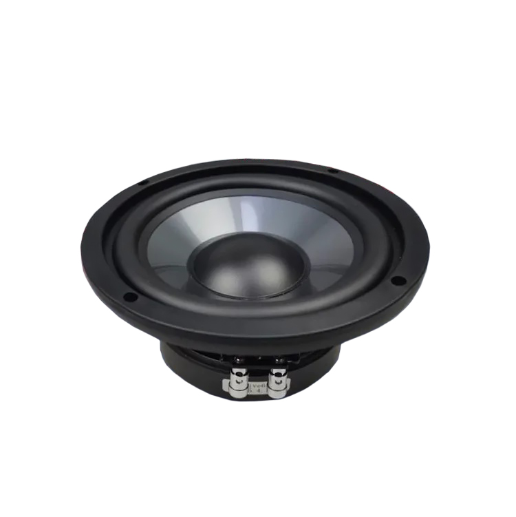 Ivolga | Drive-6 | 6" | 3