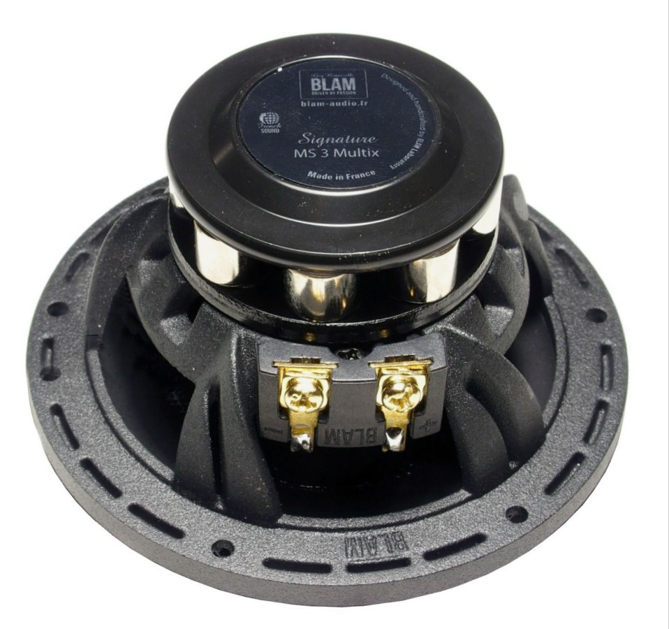 BLAM | MS3MULTIX | широкополосные динамики 3"(80мм), 25/100Вт,120Гц-32кГц, 3Ом, 88дБ | 2