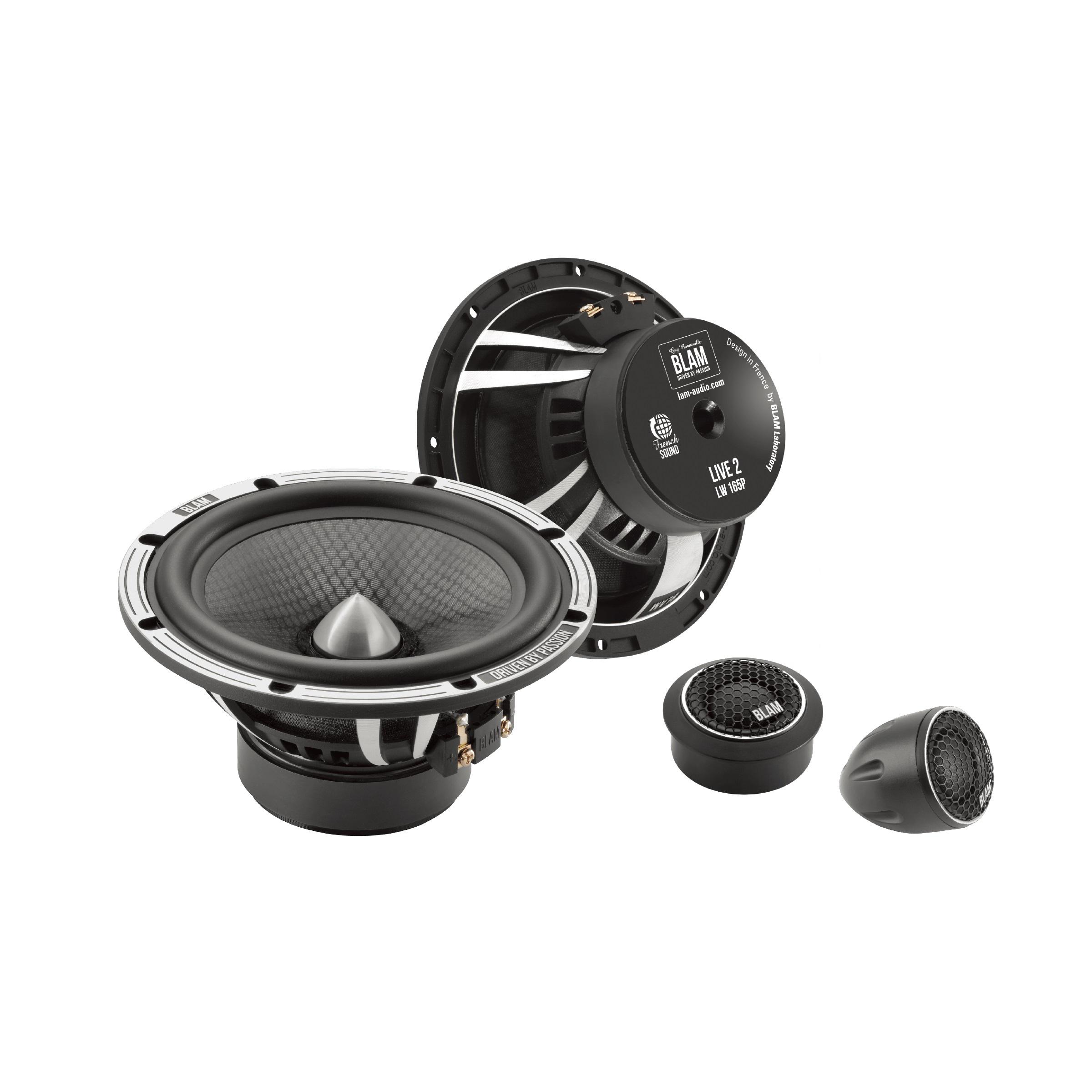 BLAM | L165P ACT | 2-х полос.комп. акуст,6,5" (16см),90/180Вт, 50Гц-25кГц, 3Ом,91.7 дБ без кросс.| превью 1