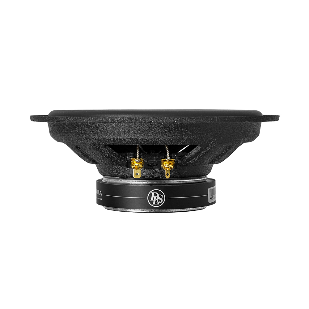 DLS | PA6.20 | 2-х полос. комп. ак . 60/120W | 5