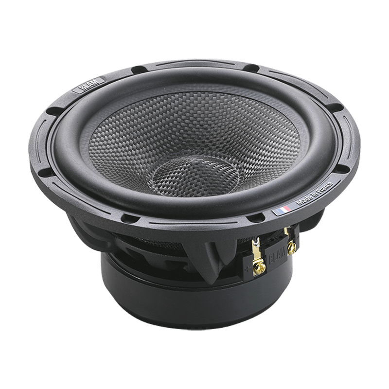 BLAM | WS6300 | НЧ- динамики, 6,5" (16см), 125/250Вт, 50Гц-5000Гц, 2Ом, 93.2дБ | превью 1