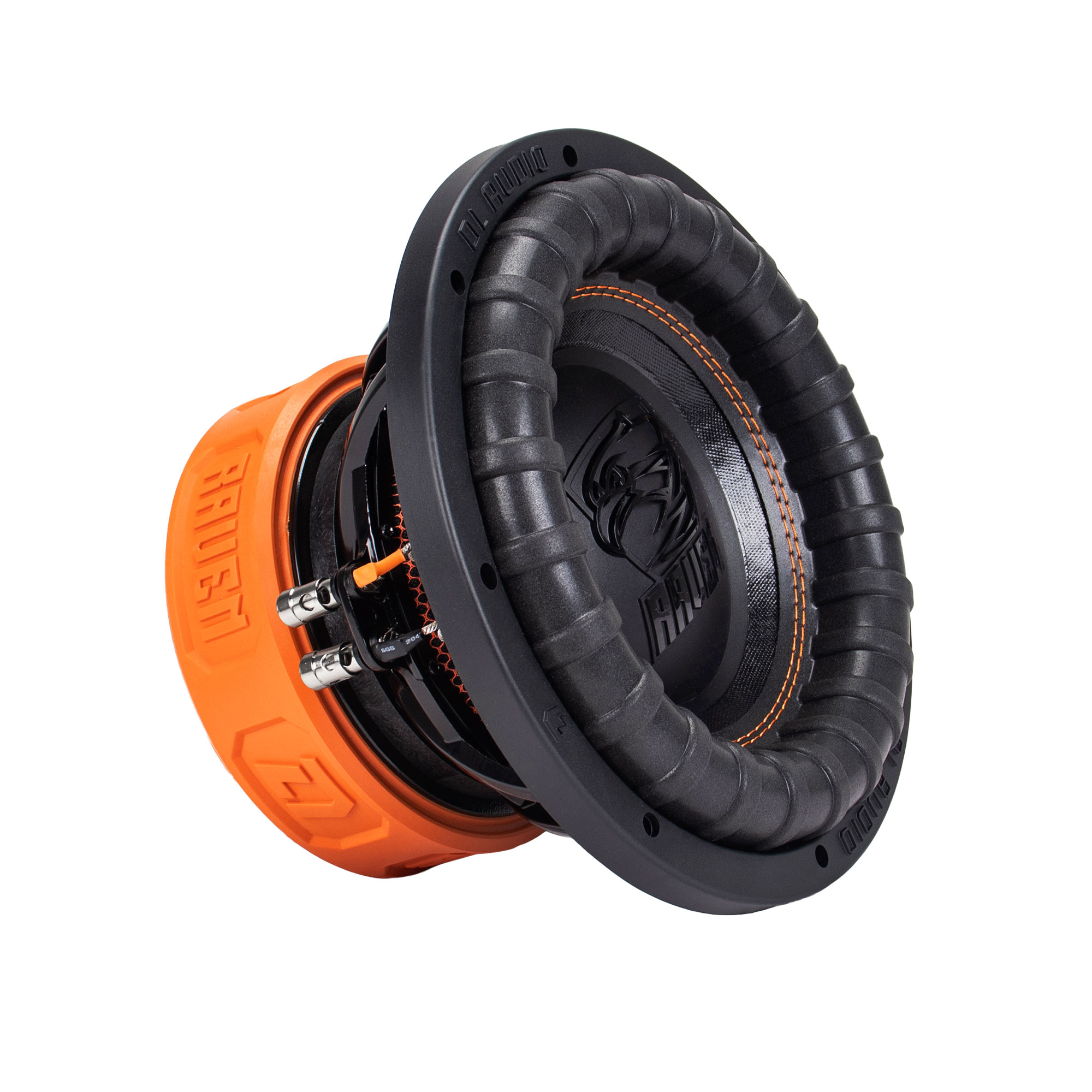 DL Audio | Raven 10 V2 |  | превью 1