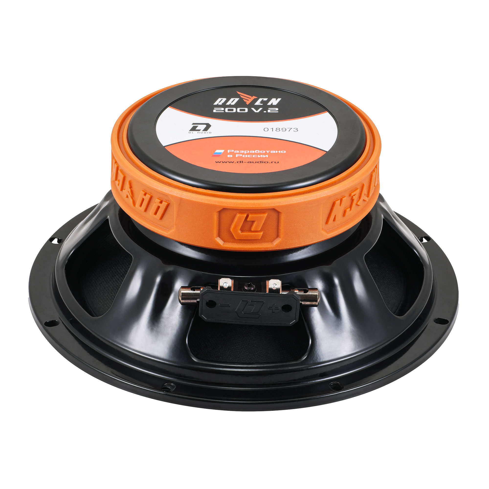 DL Audio | Raven 200 V2 |   | превью 3