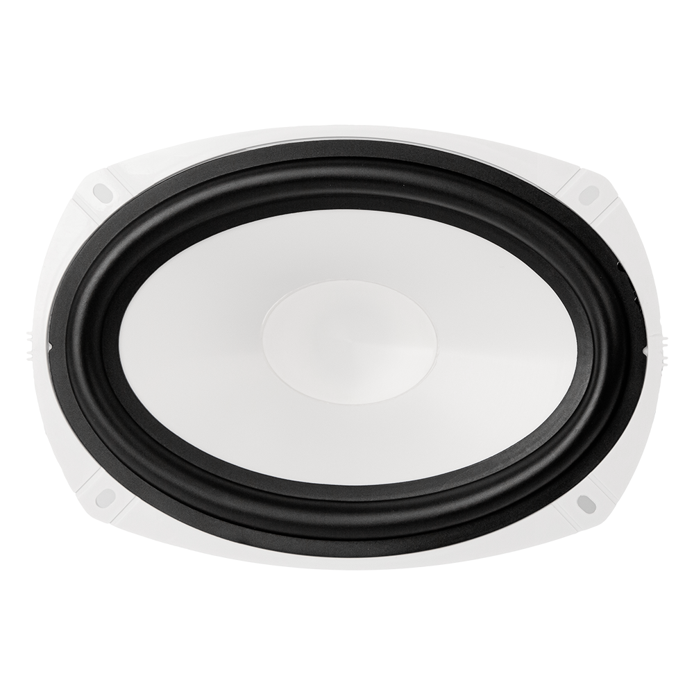 ACV | M69W | 6x9, 2-полосная морская влагостойкая.| 2