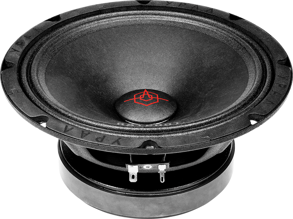 Ural | Урал ПАТРИОТ AC-ПТ200 | 8" (20cm), Пара, 300 Вт RMS, 100-12000Гц | 3