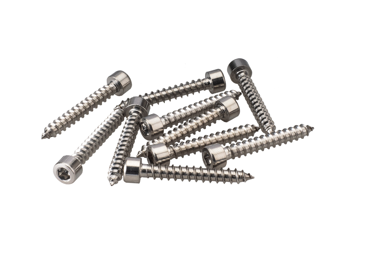 AurA | WGS-535S | саморез 5*35мм, СЕРЕБРО, нержавеющая сталь, для акустики, 1 штука | превью 1