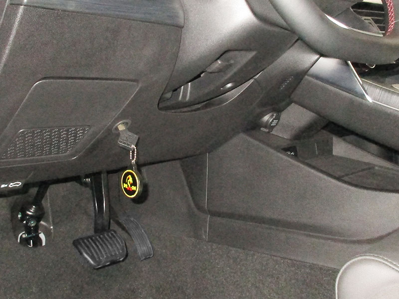 DRAGON | GEELY TUGELLA (2020-2024) / KNEWSTAR 001 (2024-), РВ БШ | превью 1