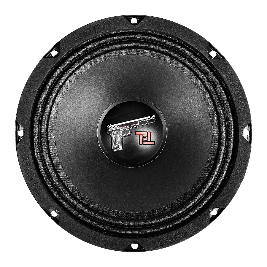 Ural | УРАЛ ТТ 200.2 | 8" (20cm), 130/260w, 90-8000 Hz, 4 Om, 96 db, пара | превью 2