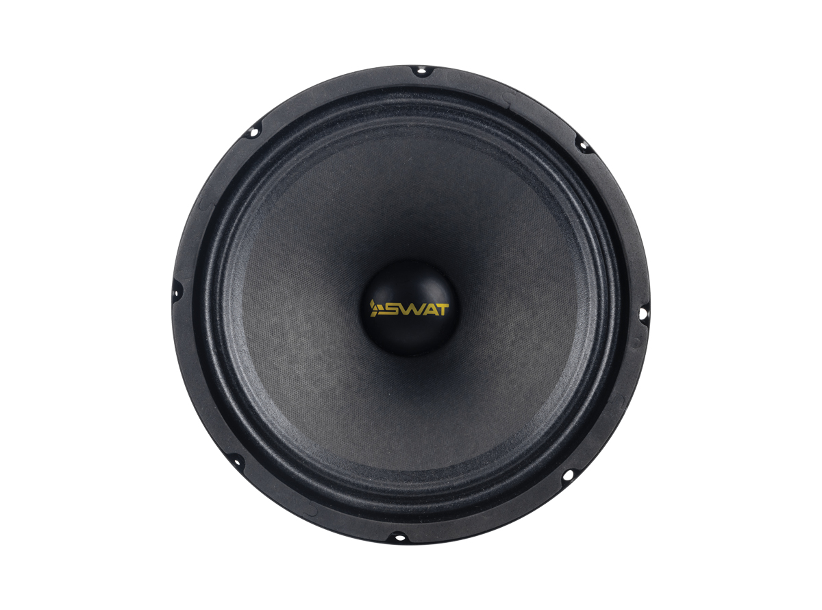 Swat | SBT-100 PRO | СЧ/НЧ  10", 200 Вт RMS | превью 1