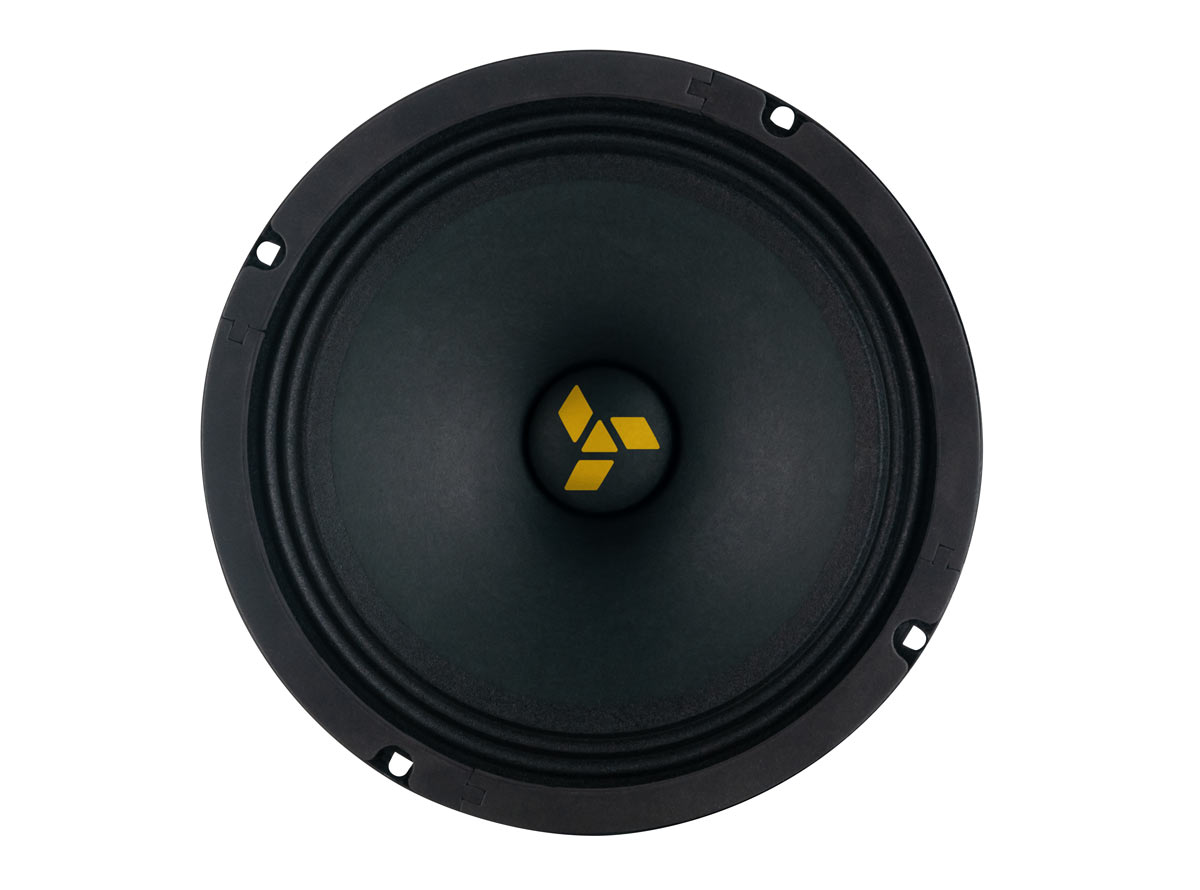 Swat | MAS-80Pro | СЧ/НЧ  8", 100/200 Вт, 4 Ом | превью 1