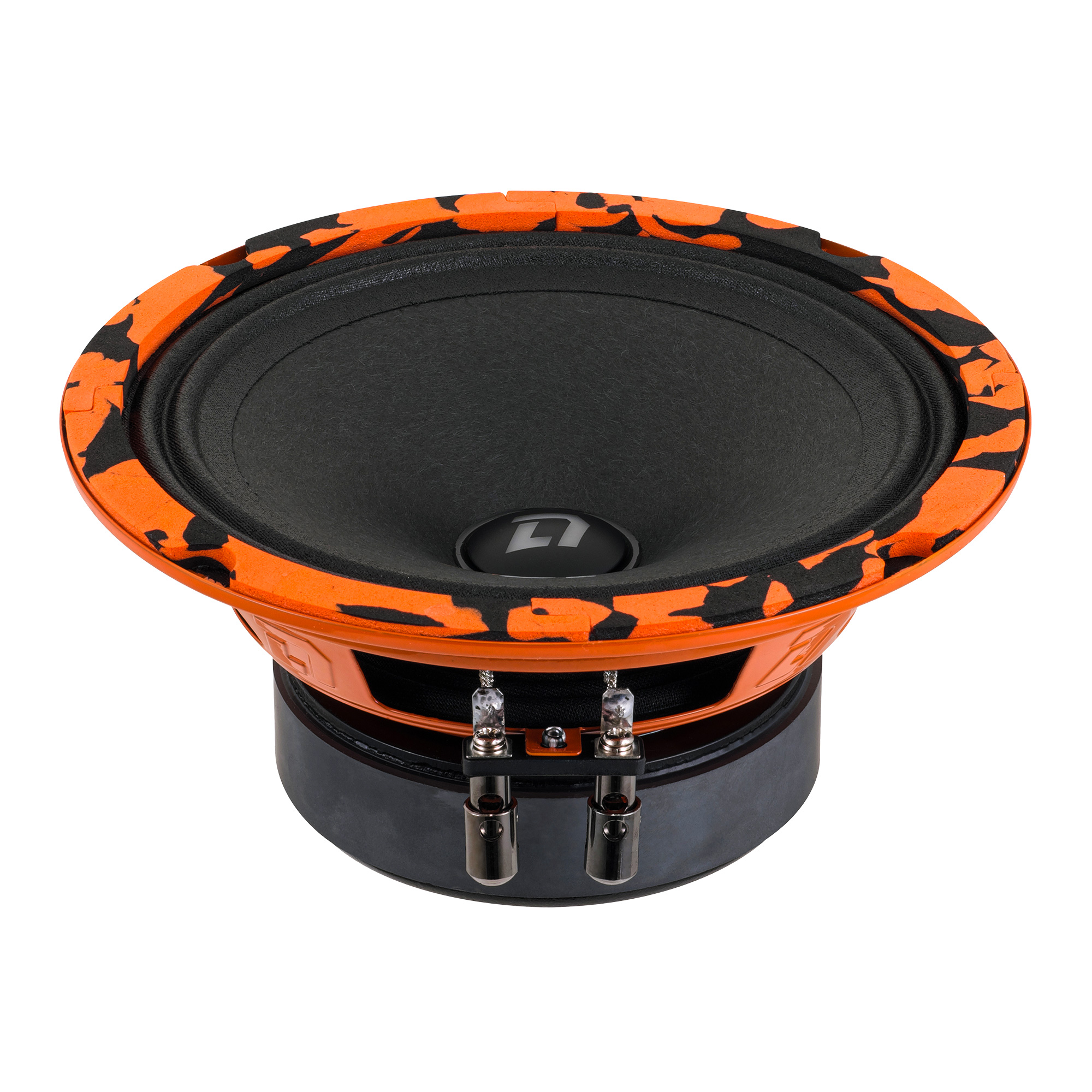DL Audio | Gryphon PRO 165 SE |   | 6