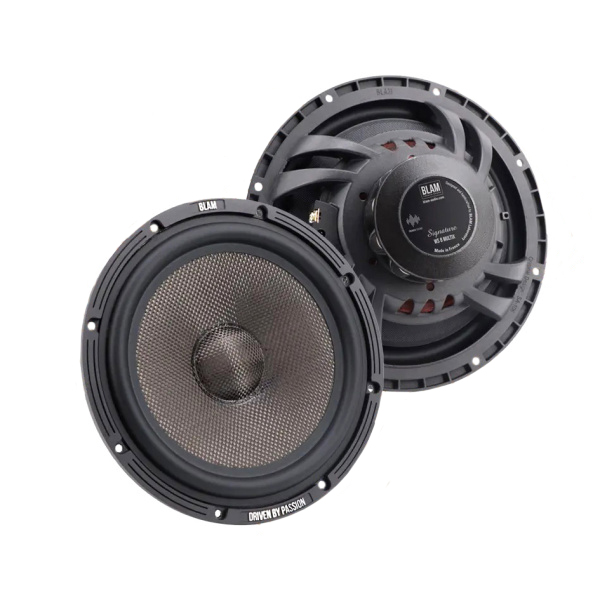 BLAM | WS8MULTIX | НЧ- динамики 8"(20см), 125/250Вт,60Гц-4000Гц, 2Ом, 94,1дБ | 3