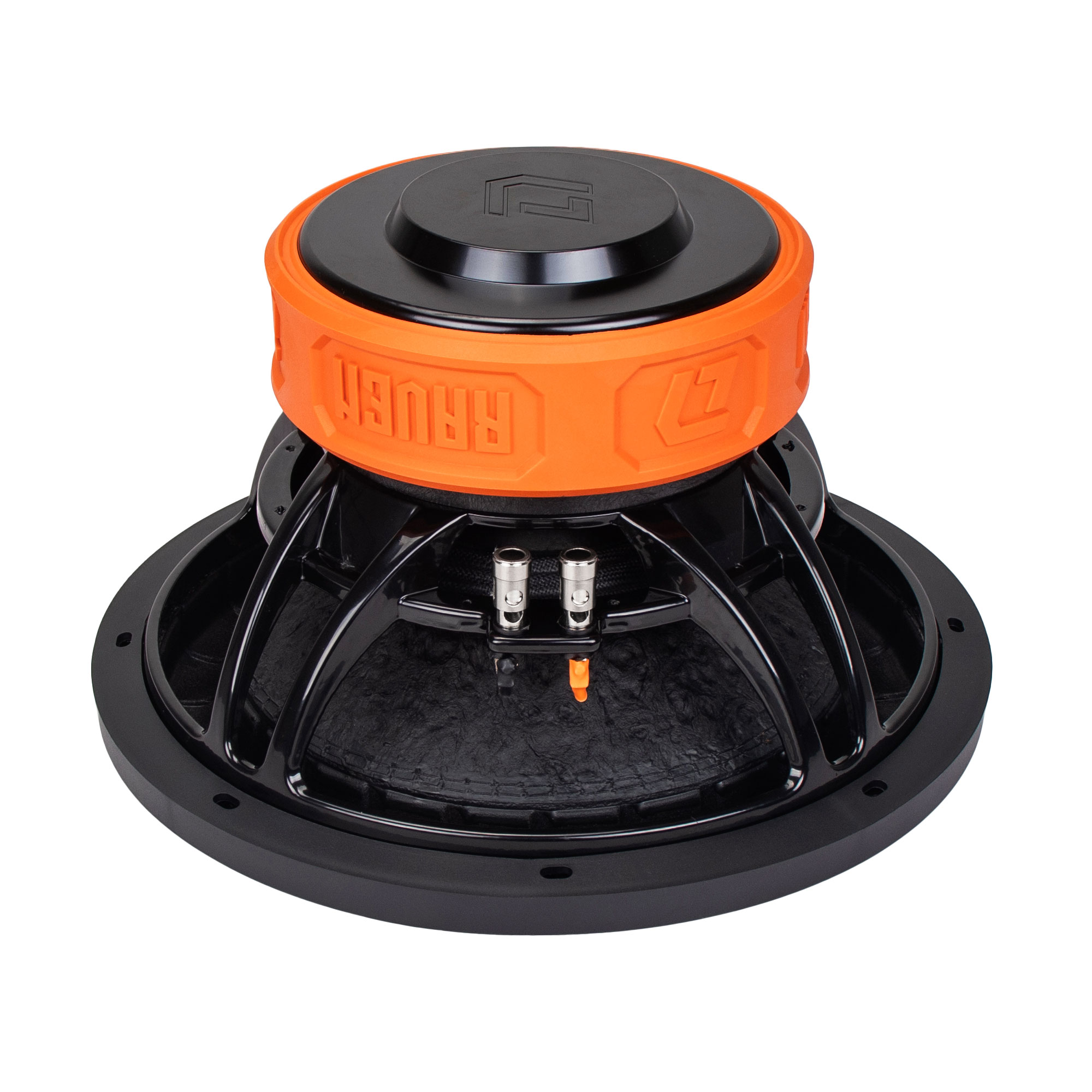 DL Audio | Raven 12 V2 | | 5