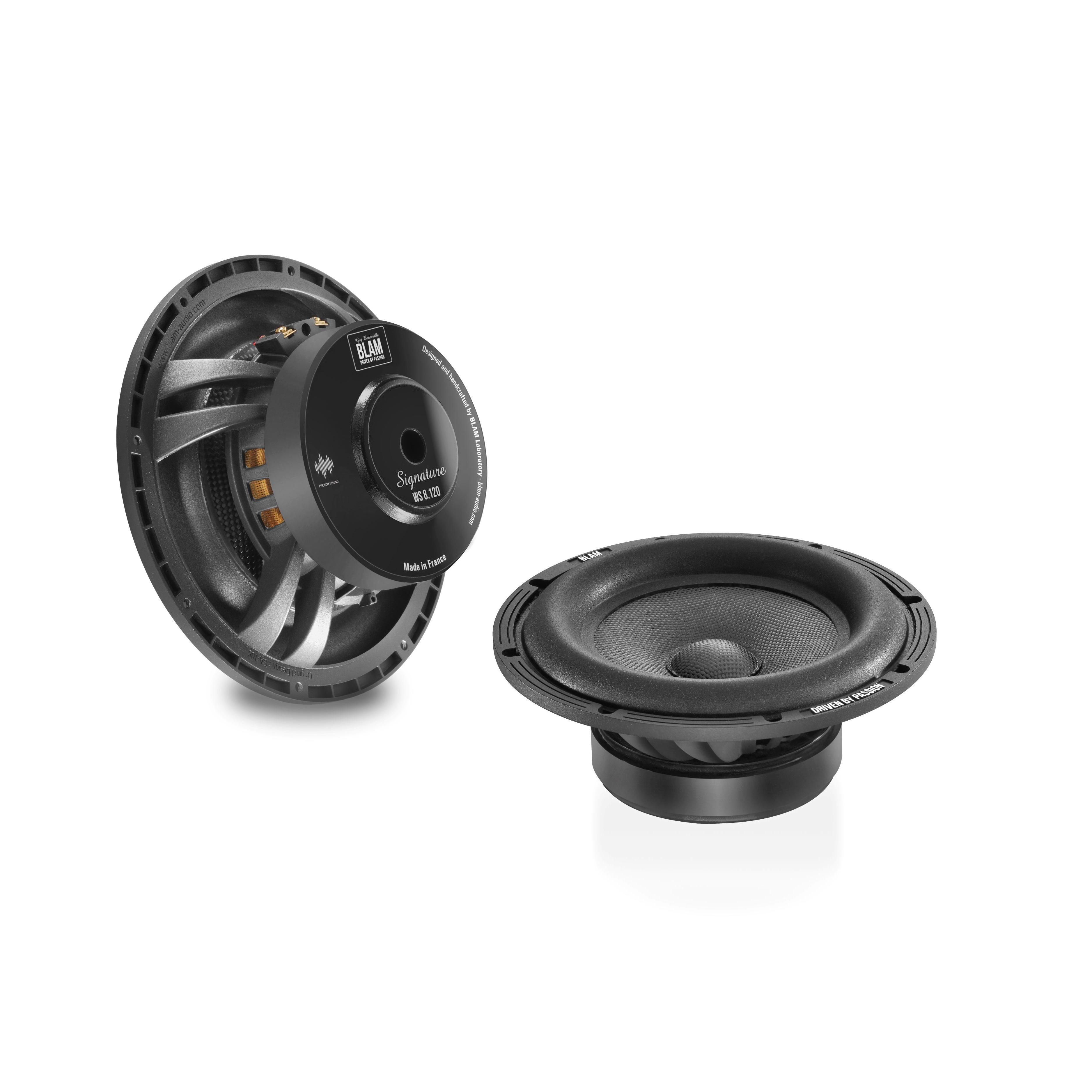 BLAM | WS8120 | сабвуферный динамик 8"(20см) 150/300Вт, 2Ом, 89,5дБ 10л| 1