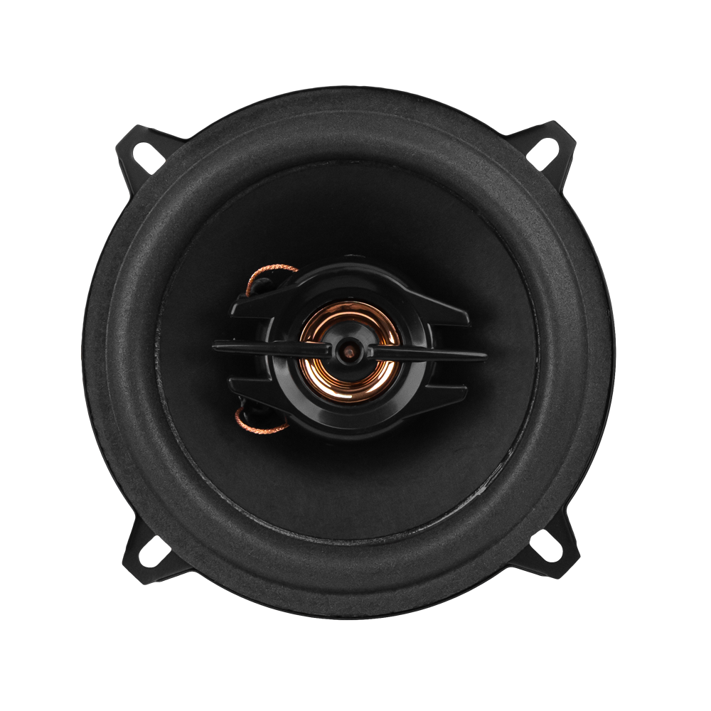 ACV | PB-522G | 13см 2-х полосная/50Вт/бумага | 1