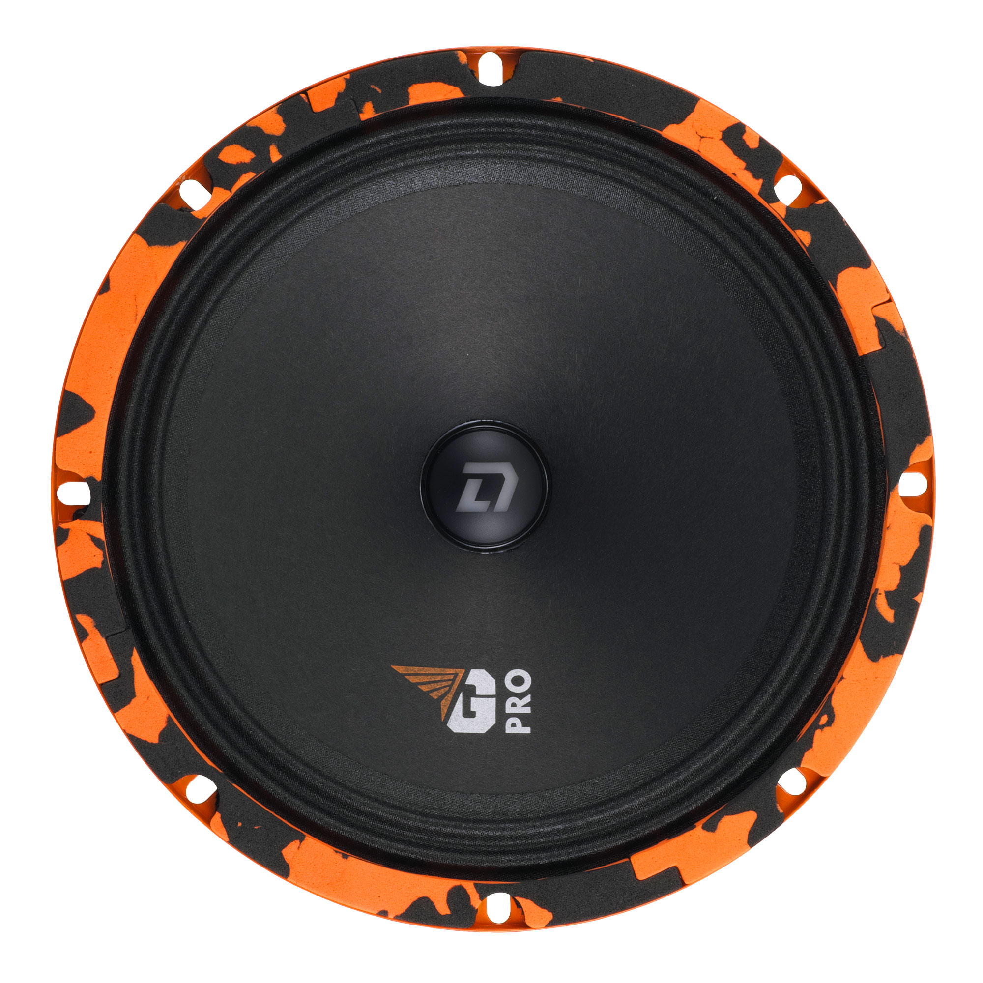 DL Audio | Gryphon PRO 200 SE |   | 5