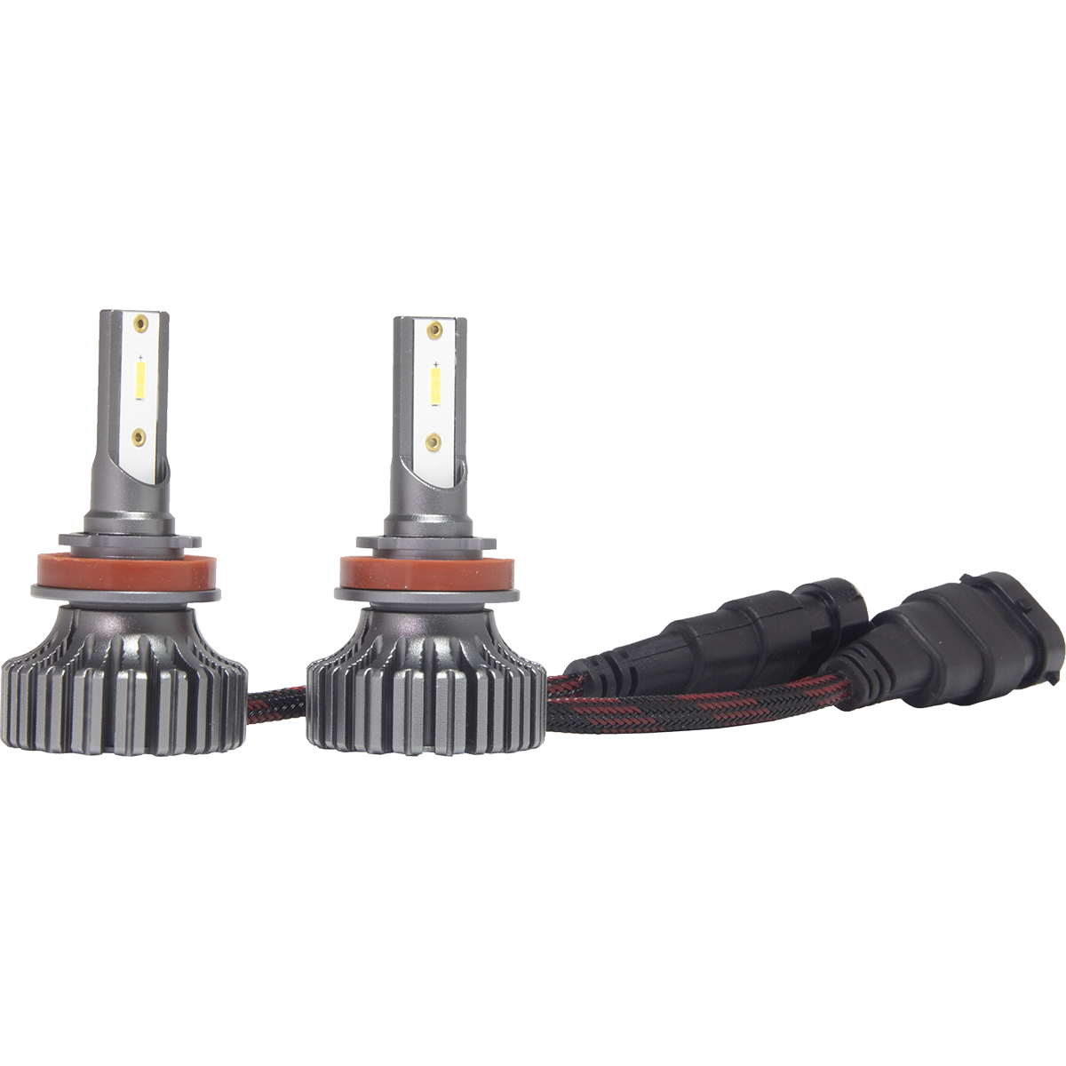 AMP | CSP H02 | H11,  6000K , 12-24V, 40 Вт, 4000 Lm  комплект 2 шт. | превью 1