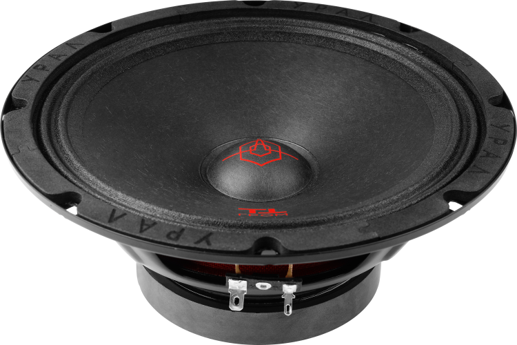 Ural | Урал ТТ 200 ГРОМ | 20см, Пара, 150 Вт, 80-10000 Hz, 4 Om, 98 db | превью 3