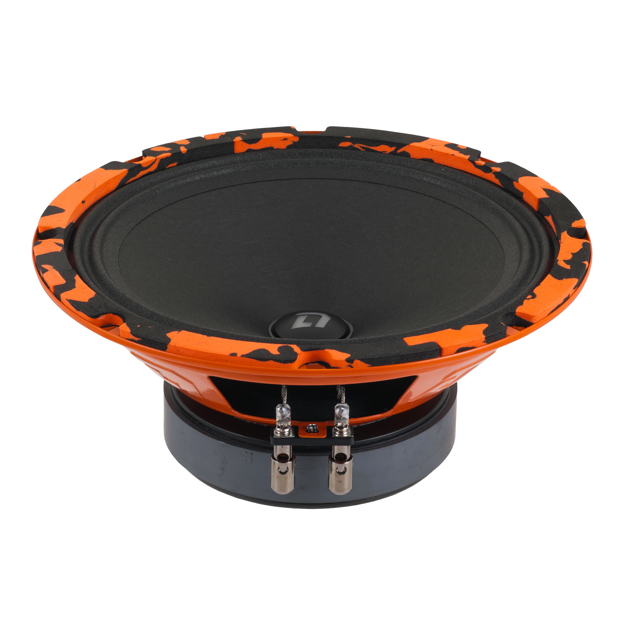 DL Audio | Gryphon PRO 200 SE |   | 6