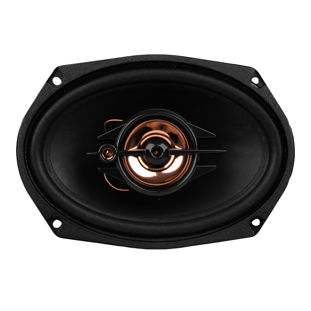 ACV | PB-693G| 6/9 /3-х полосная/ 80Вт/бумага | 2