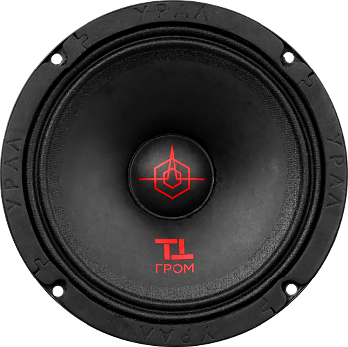 Ural | Урал ТТ 165 ГРОМ | 6.5" (16.5cm), 110/220w, 130-10000 Hz, 4 Om, 95 db, пара | превью 1