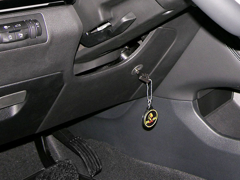 DRAGON | CHERYEXEED TXL / VX (2022-), РВ БШ | превью 1