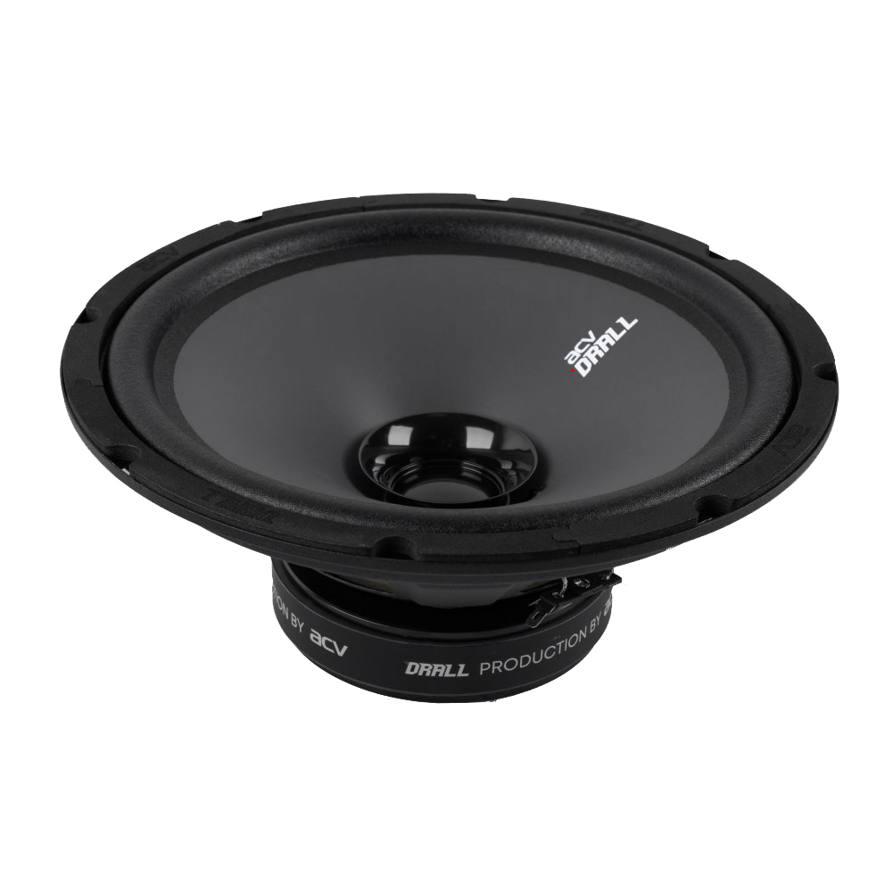 ACV | DR10 DRALL | эстрадная акустика 10" широкополосная/ RMS=150W/3Om/96дБ | превью 3